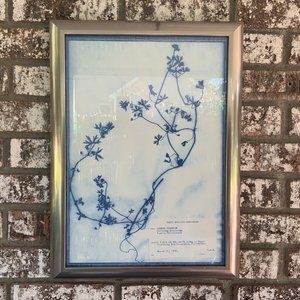 Blue and White Modern Classic Botanical Flower Framed Wall Art Common Geranium